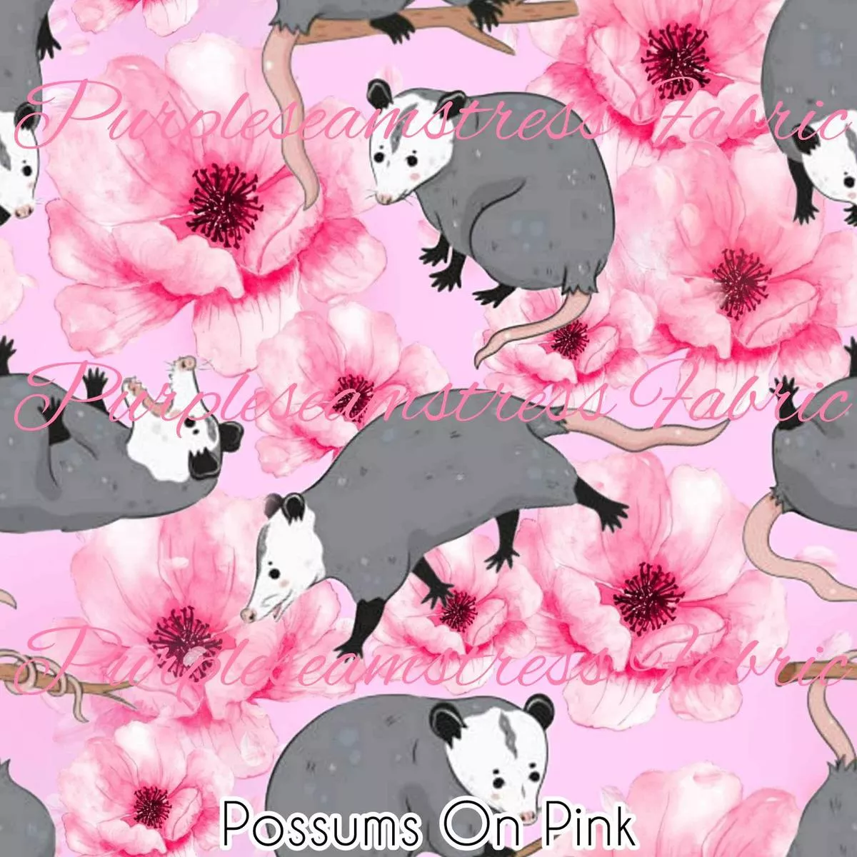 Possums on PinkFabric