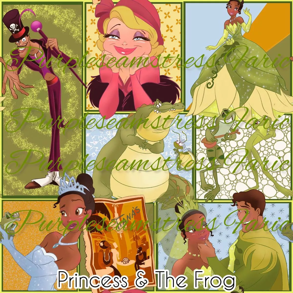 Princess & The FrogFabric