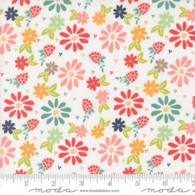 “Raspberry Summer”-Spring Berries Cloud by Sherri & Chelsi for Moda