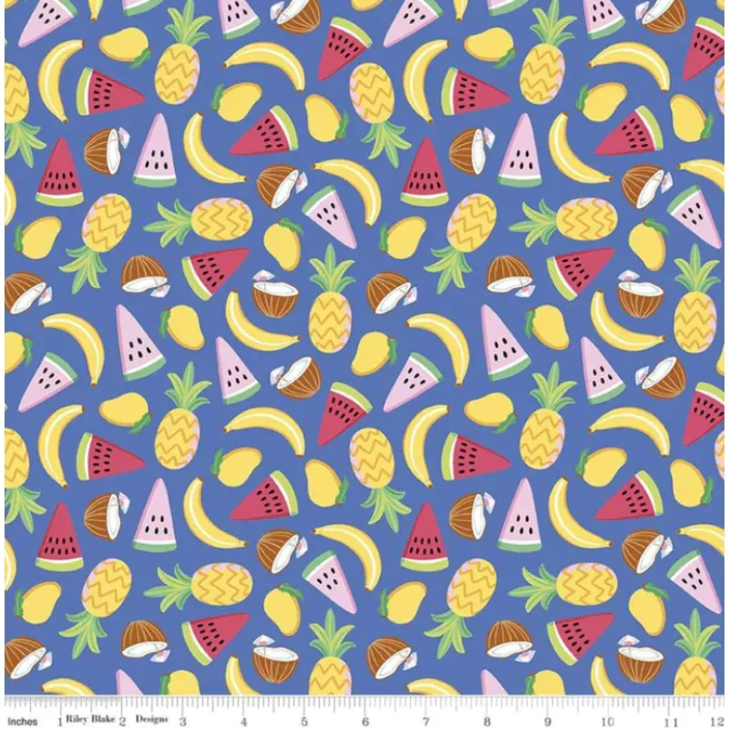 Riley Blake – Rainbow Fruit – Let’s Get Coconuts – 1/2 YARD CUT
