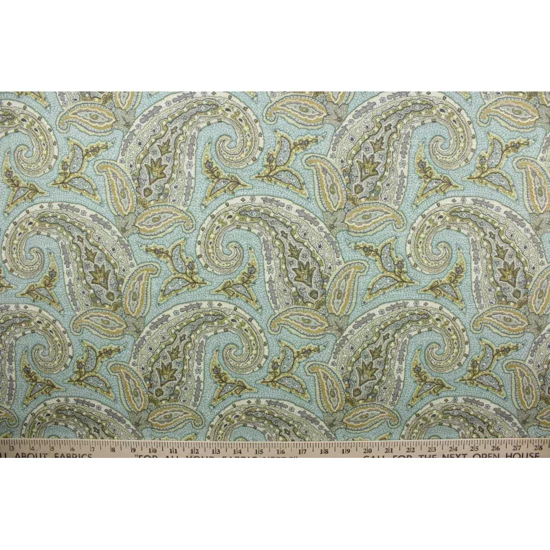 Robert Allen New Paisley Multipurpose Fabric in Dew