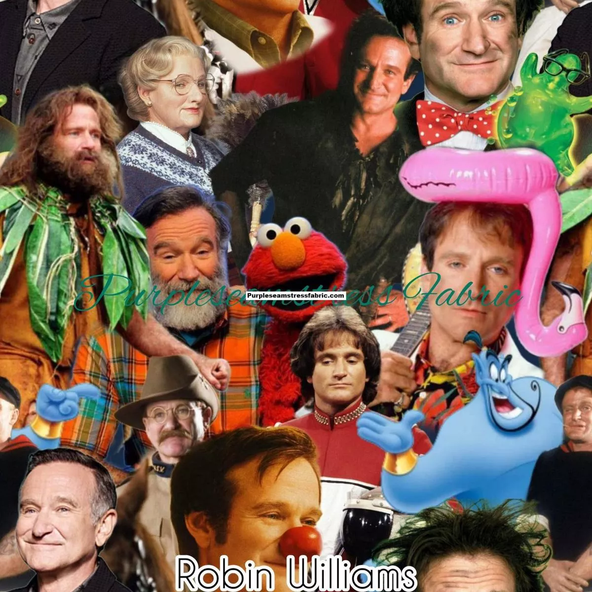 Robin WilliamsFabric