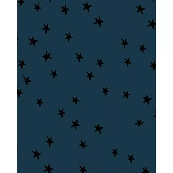 Ruby Star Society Cotton Fabric – Starry – Smoke