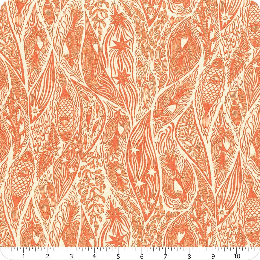 Shooting Star – Tangerine Current
