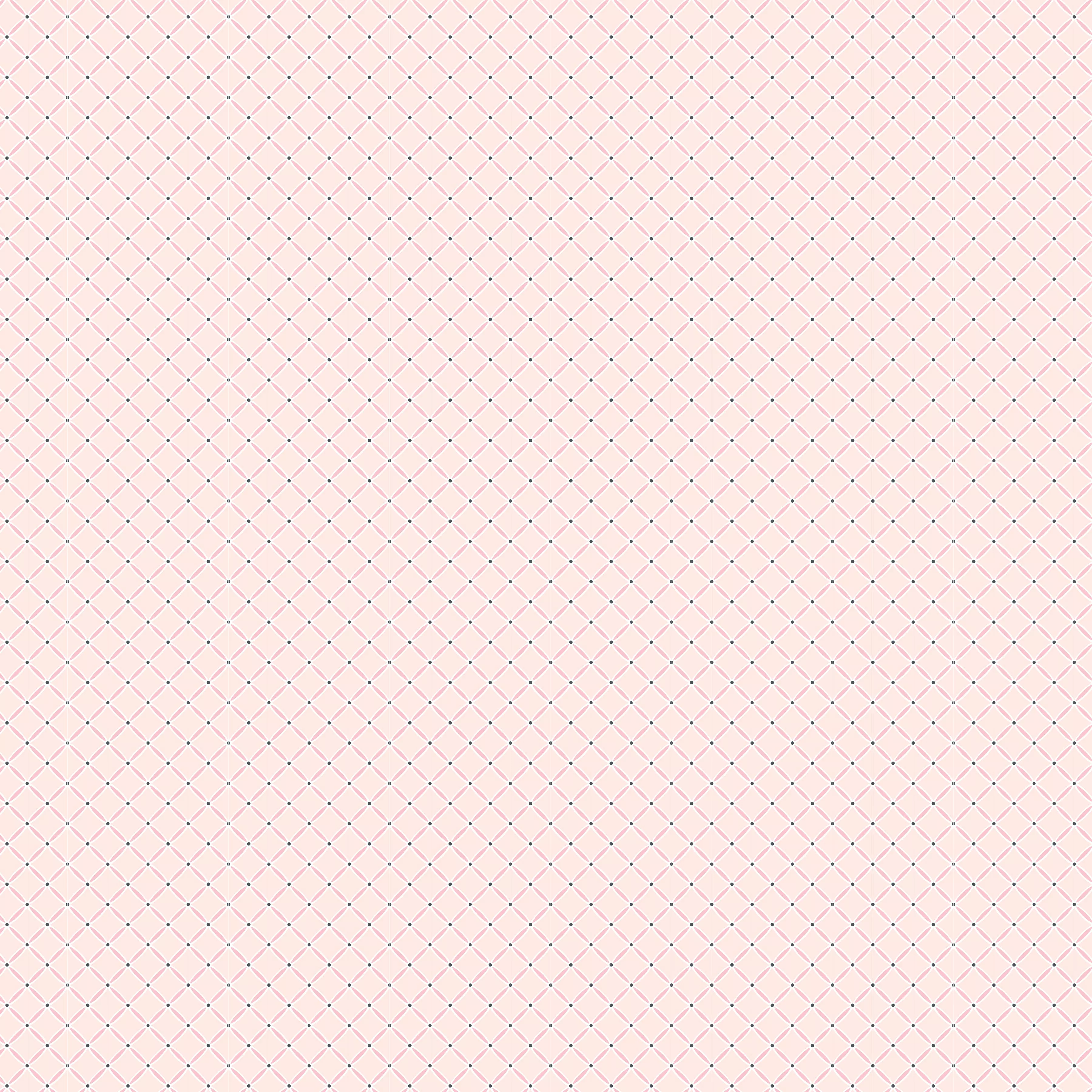 SLOW DOWN PINK – Le Petit Escargot