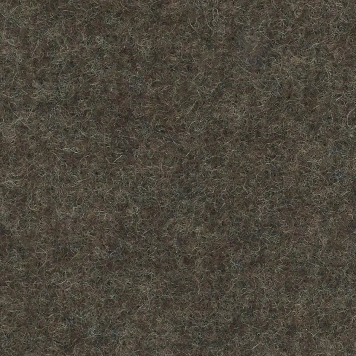 Solid Brushed Worsted Wool Cashmere Plain Weave Suiting A025510 – Heather Brown 4