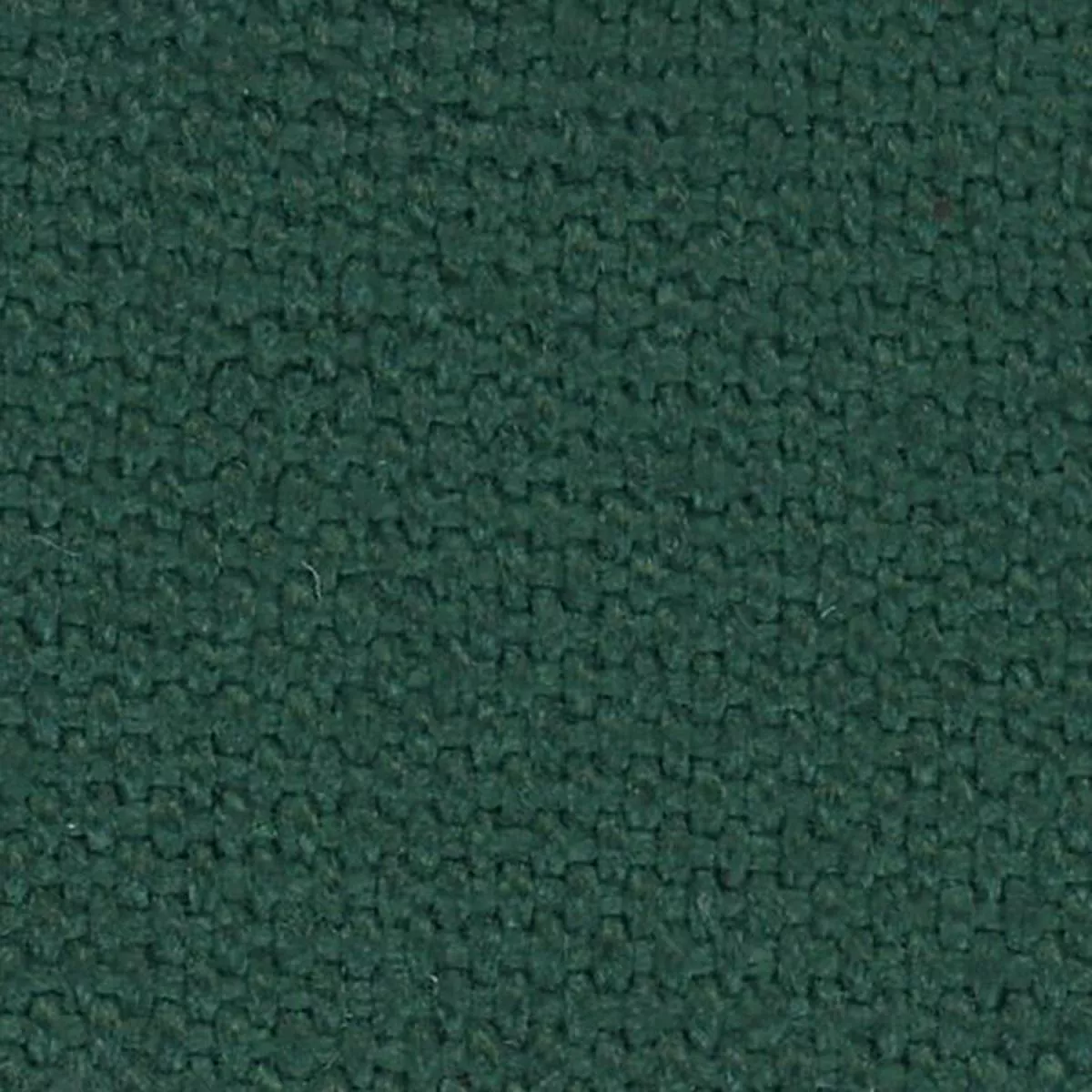 Solid Combed Cotton 12oz Canvas B025502 – Hunter Green 58