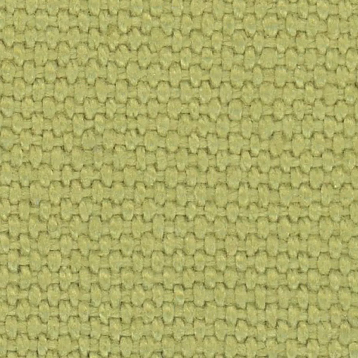 Solid Combed Cotton 12oz Canvas B025502 – Pear 34