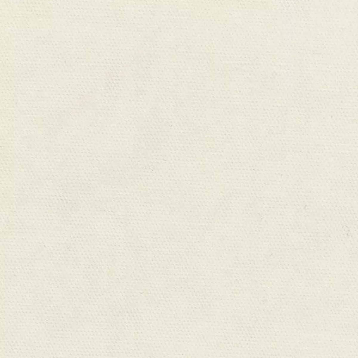 Solid Double Peached Supima Cotton Plain Woven A116503 – Ivory V59176