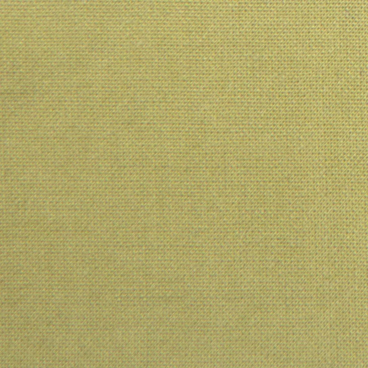 Solid Lyocell Batiste A102332 – Pear 46