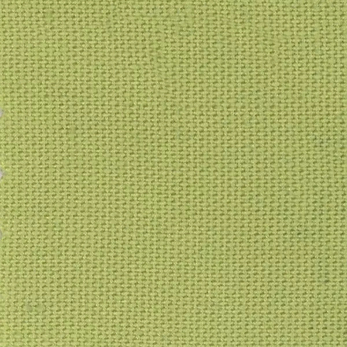 Solid Lyocell Challis A009315 – Pear 11N