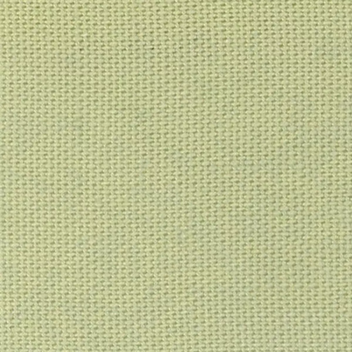 Solid Lyocell Challis A009315 – Pear 9N