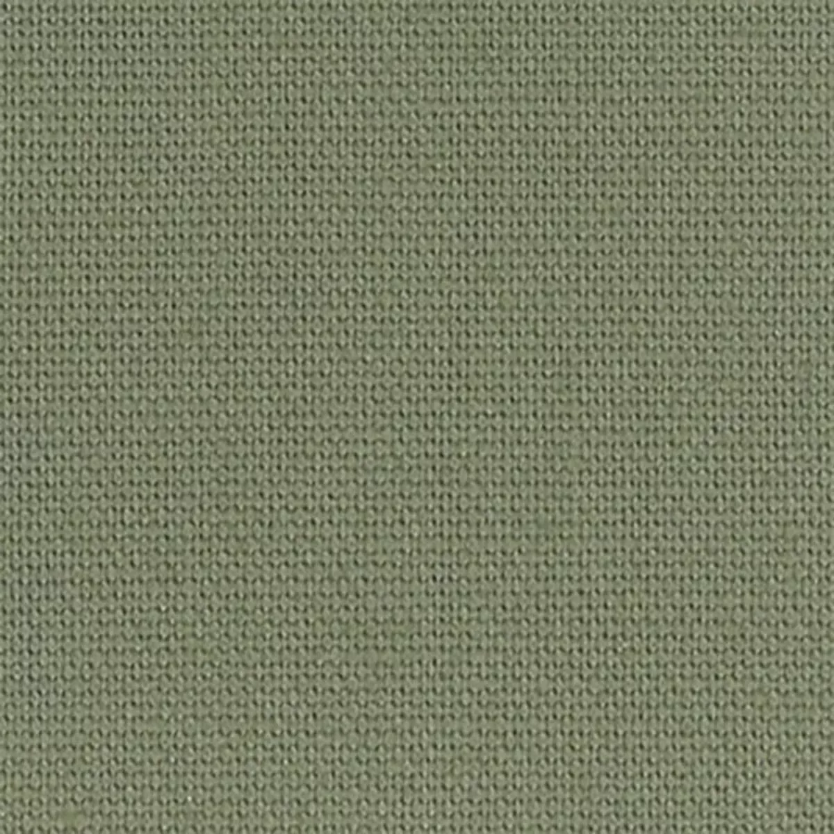 Solid Lyocell Cotton Broadcloth Poplin A009327 – Olive Green 30N
