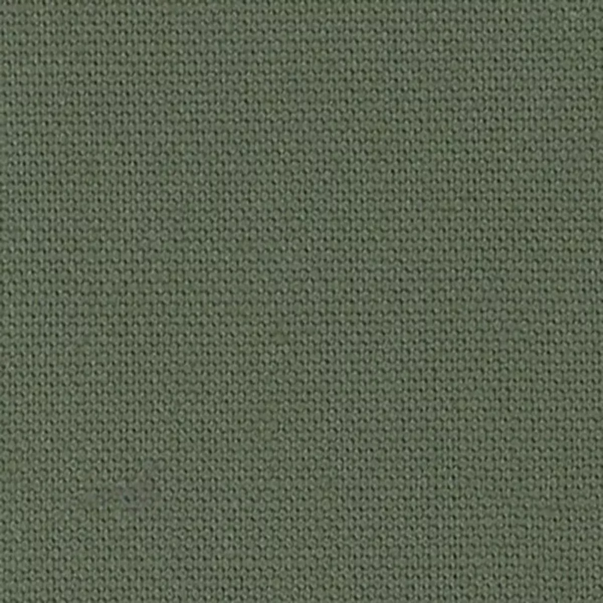 Solid Lyocell Cotton Broadcloth Poplin A009327 – Olive Green 31N