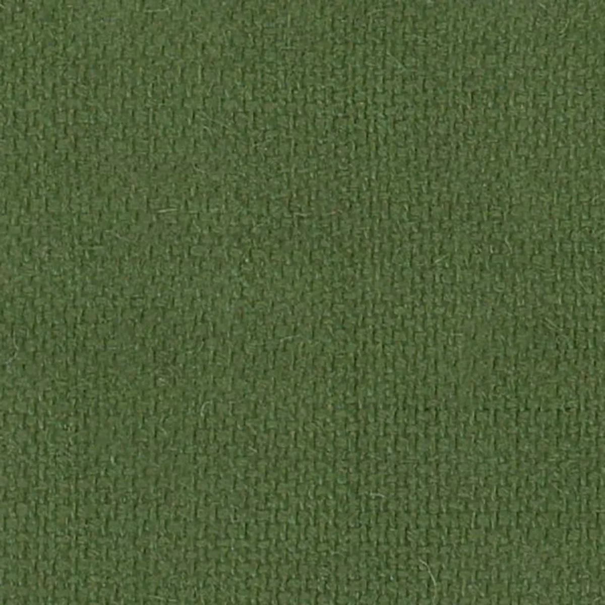 Solid Ramie Plain Woven B023405 – Green 65