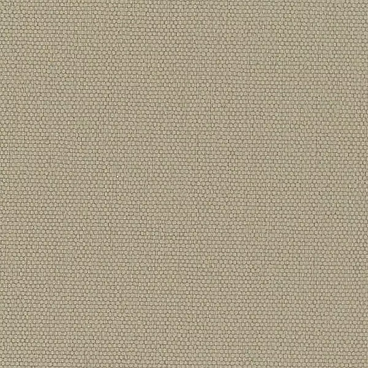 Solid Stretch Crinkled DWR Nylon Performance Woven B003404 – Greige 528
