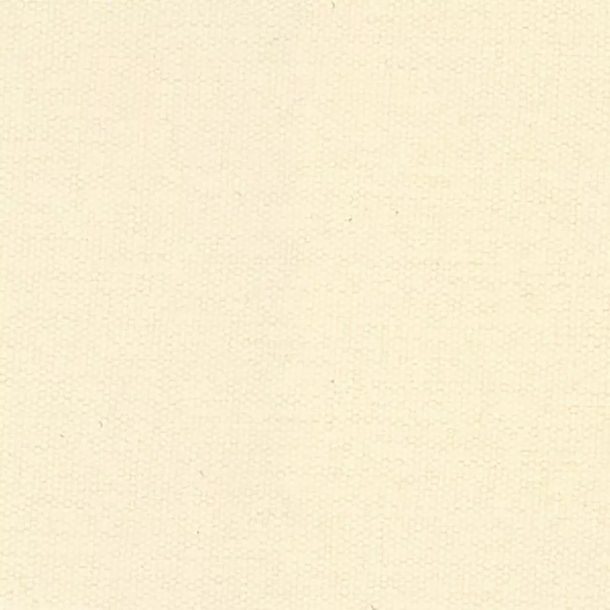 Solid Stretch Crinkled DWR Nylon Performance Woven B003404 – Ivory 524