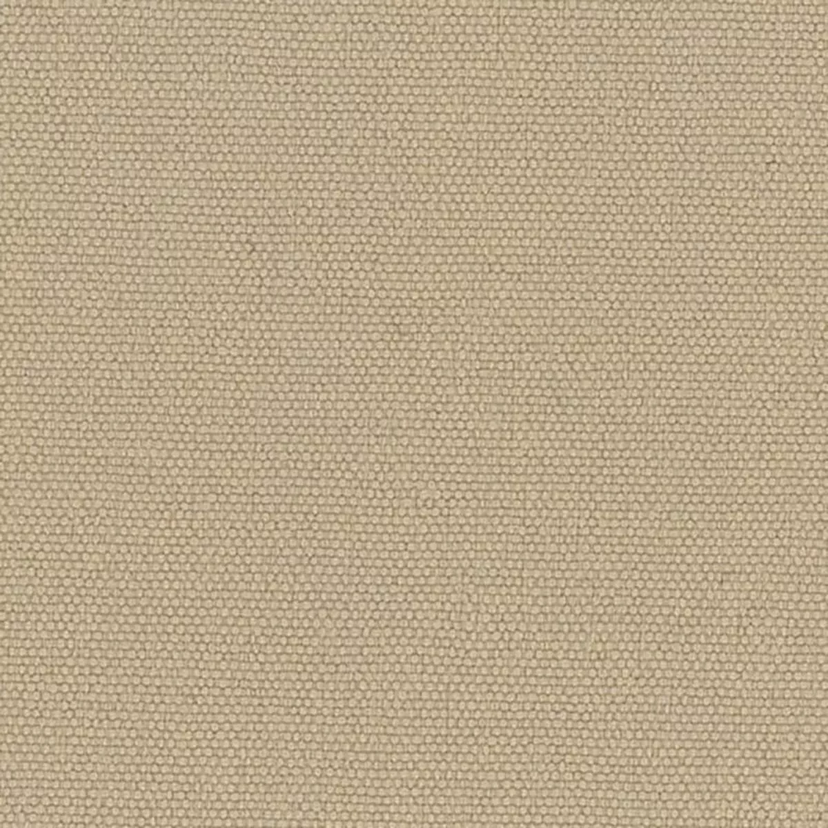 Solid Stretch Crinkled DWR Nylon Performance Woven B003404 – Tan 570