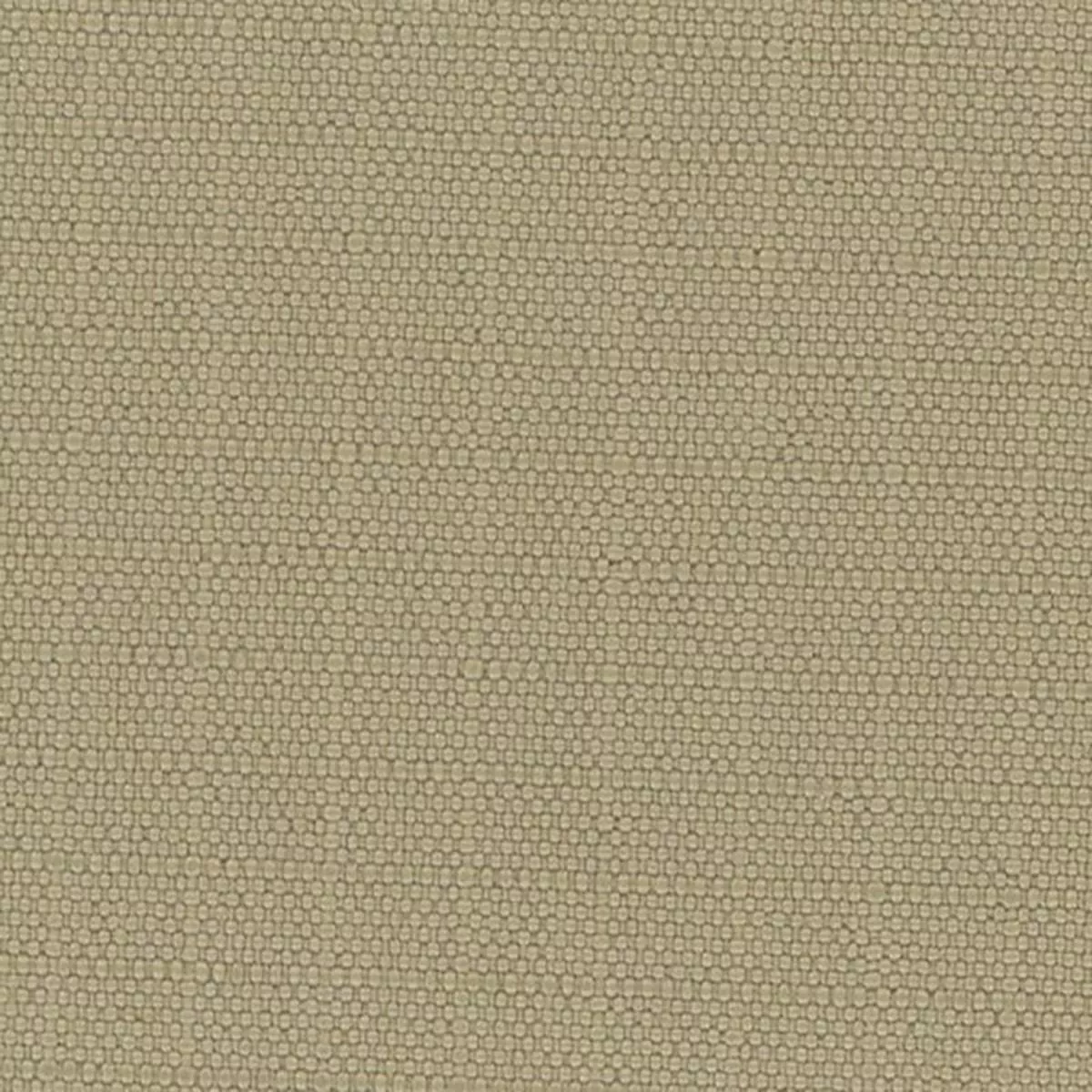 Solid Stretch Crinkled DWR Polyester Performance Ripstop A033510 – Tan 28