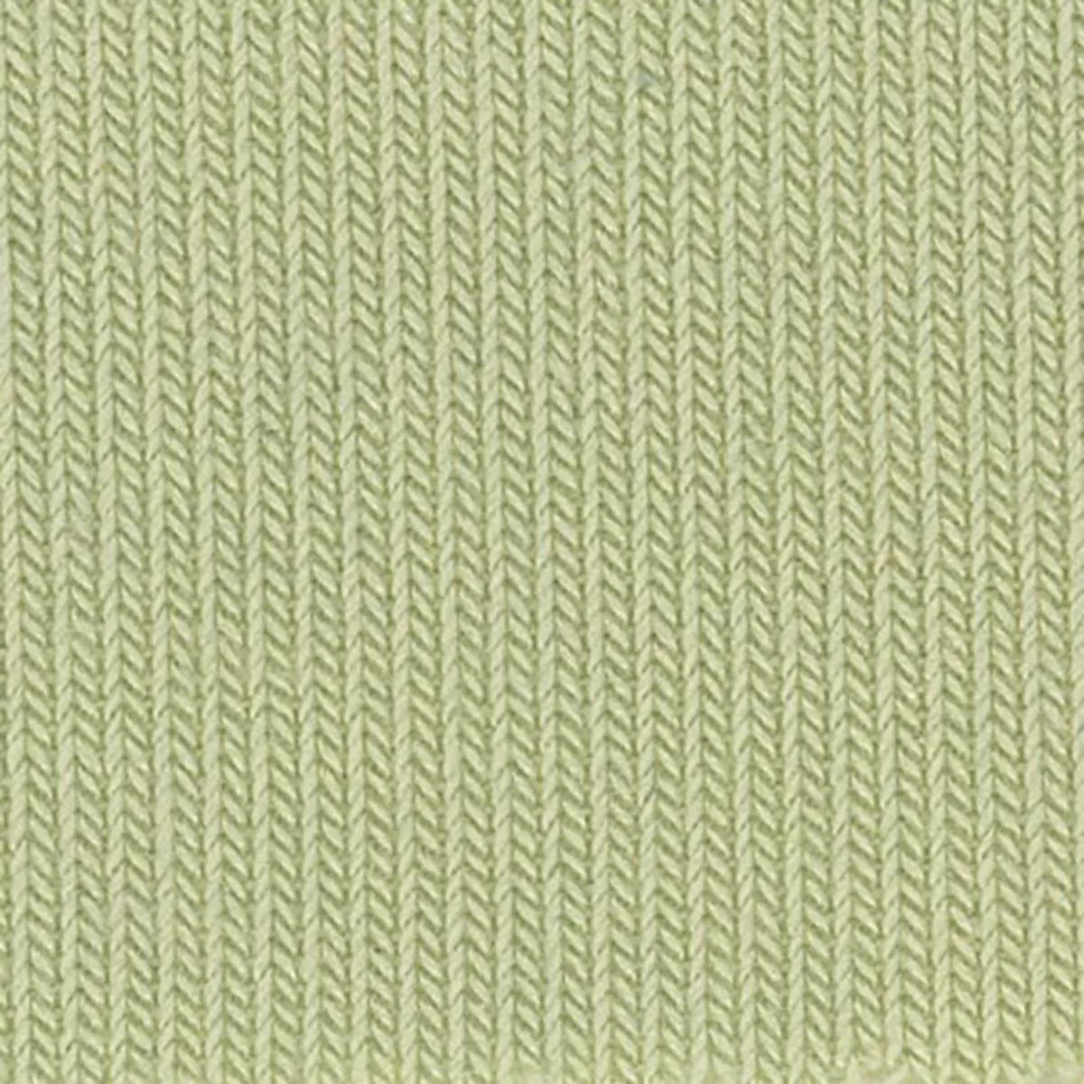 Solid Stretch Lyocell Rib 1×1 S006518 – Green 30