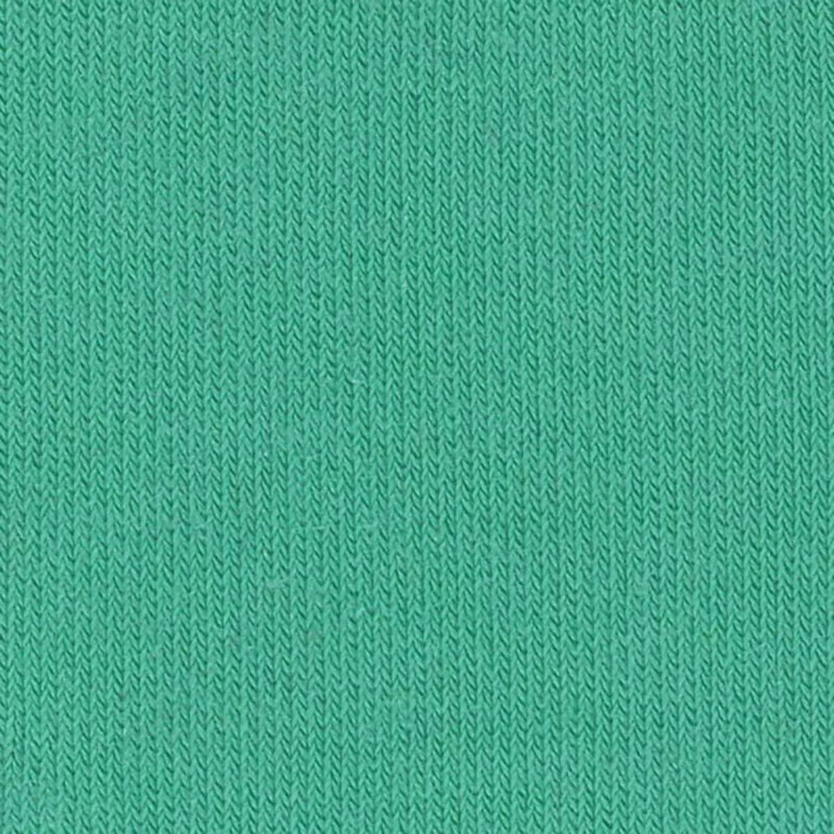 Solid Stretch Tencel / Lyocell Double Knit S006514 – Green 9
