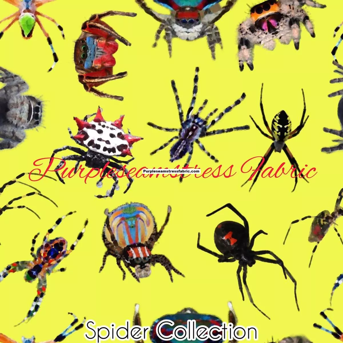 Spider CollectionFabric