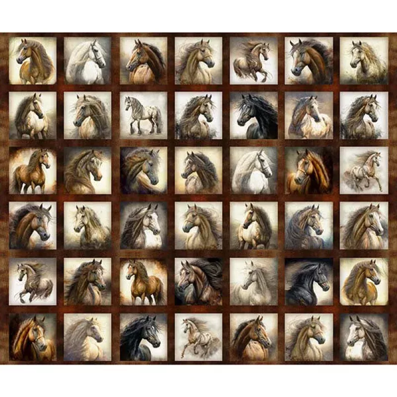 Stallion Song|Panel