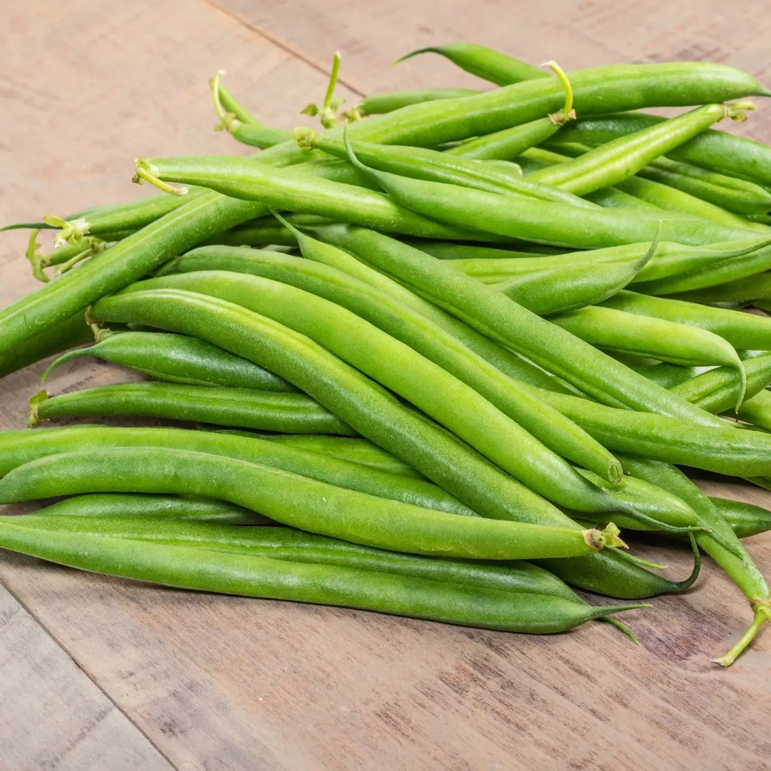 Strike Beans Seeds 9920303