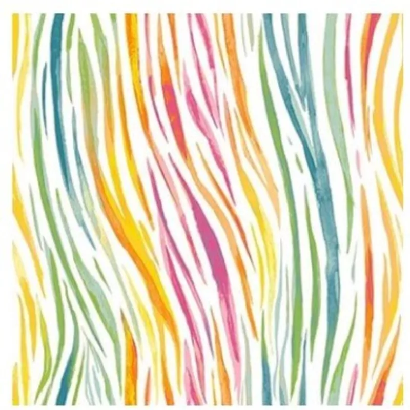 Studio e Rainbow Zebra-Multi