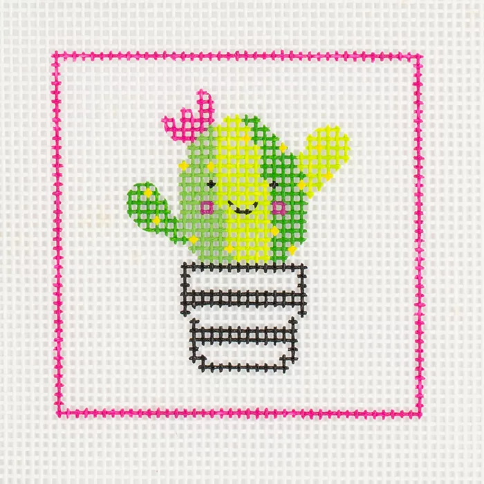 Succulent Beginner Kit