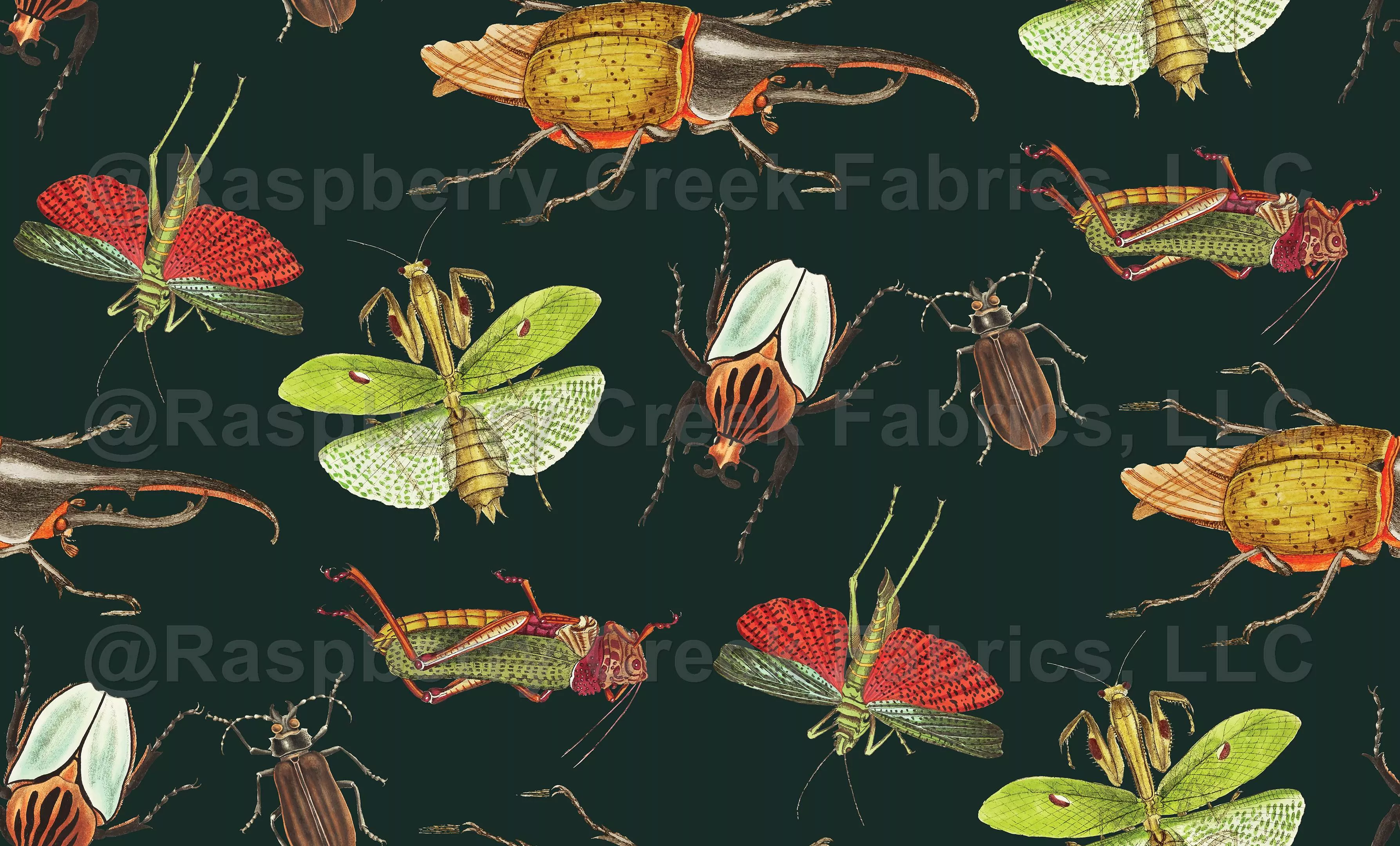Tropical Insects Dark Grasshoppers, Mantis, and Beetles