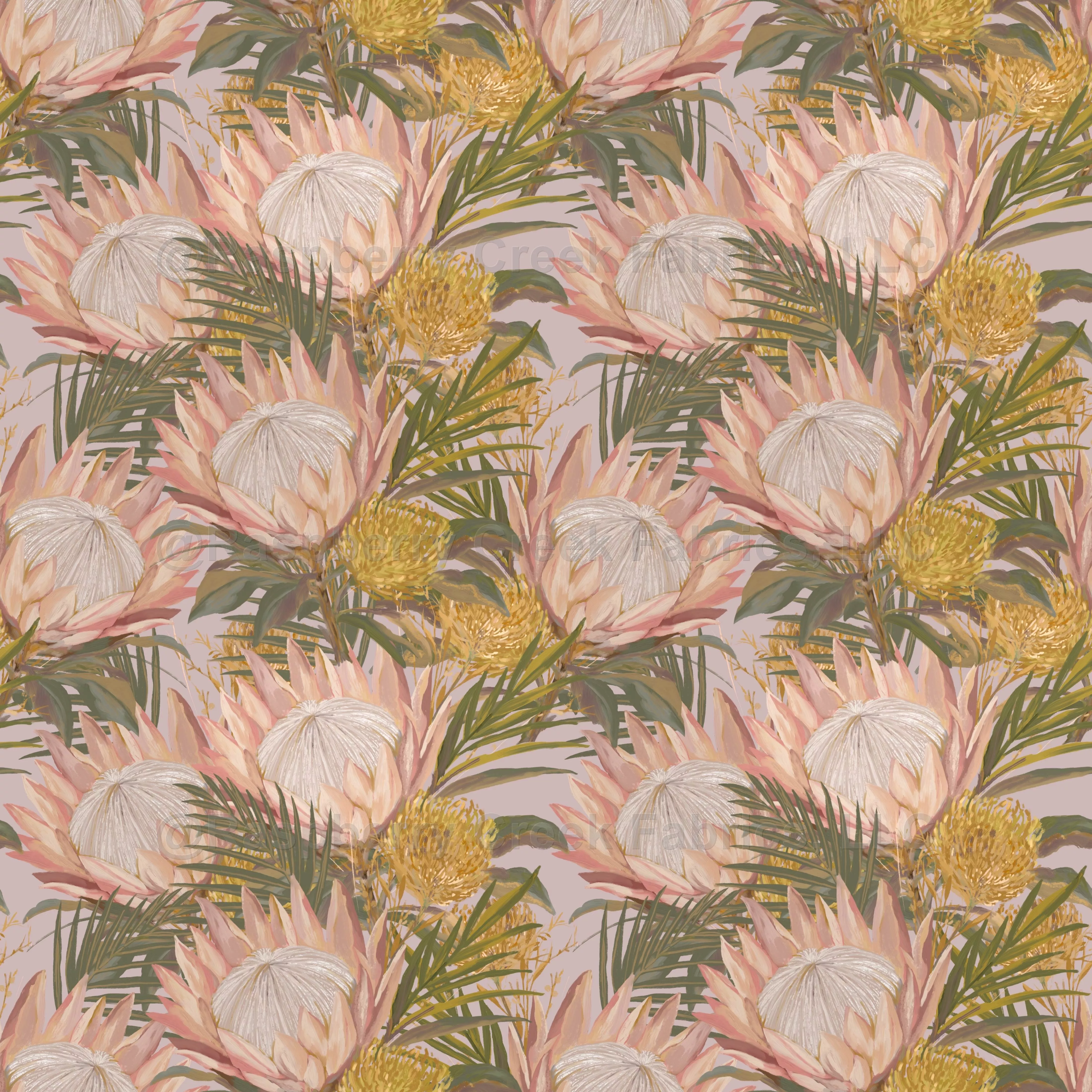 Tropical Proteas
