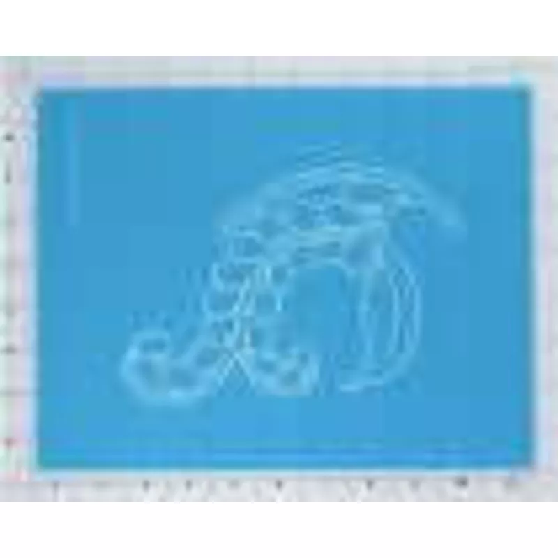 VINE SERIES, LARGE BUDDING FEATHER STENCIL