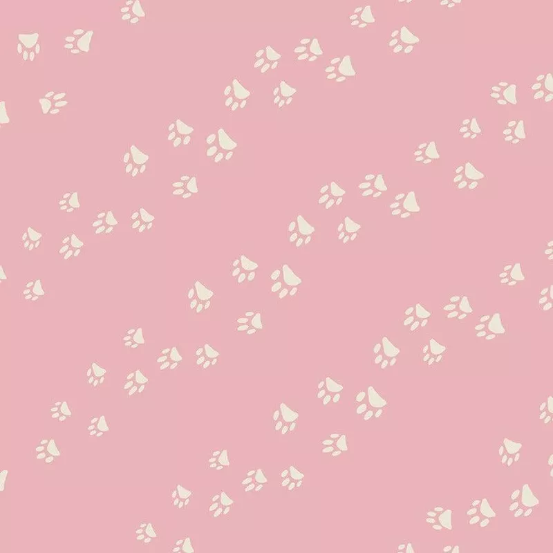 Wander Paw Lavender