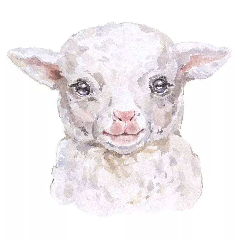 Watercolor Lamb Fabric Panel