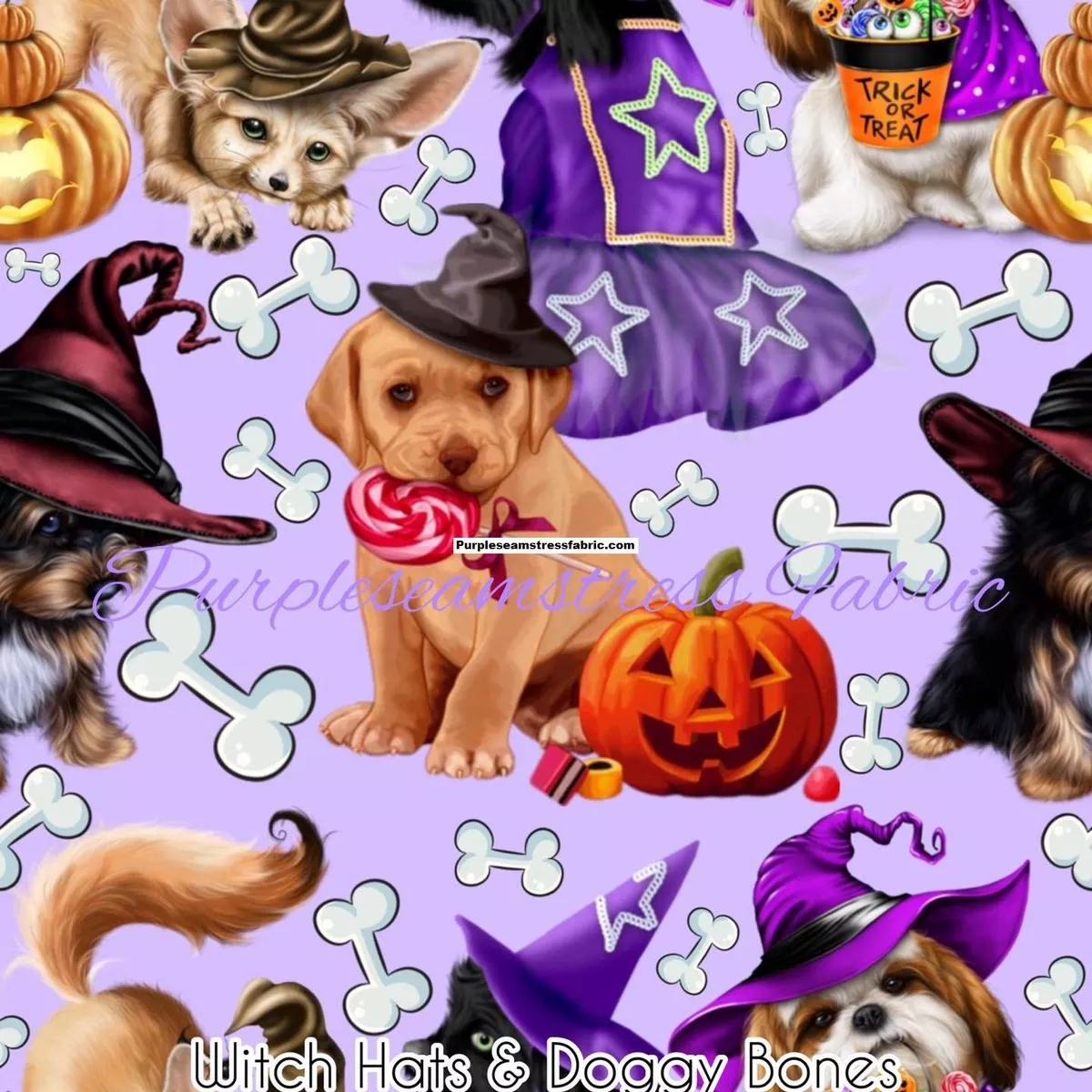 Witch Hats & Doggy BonesFa…