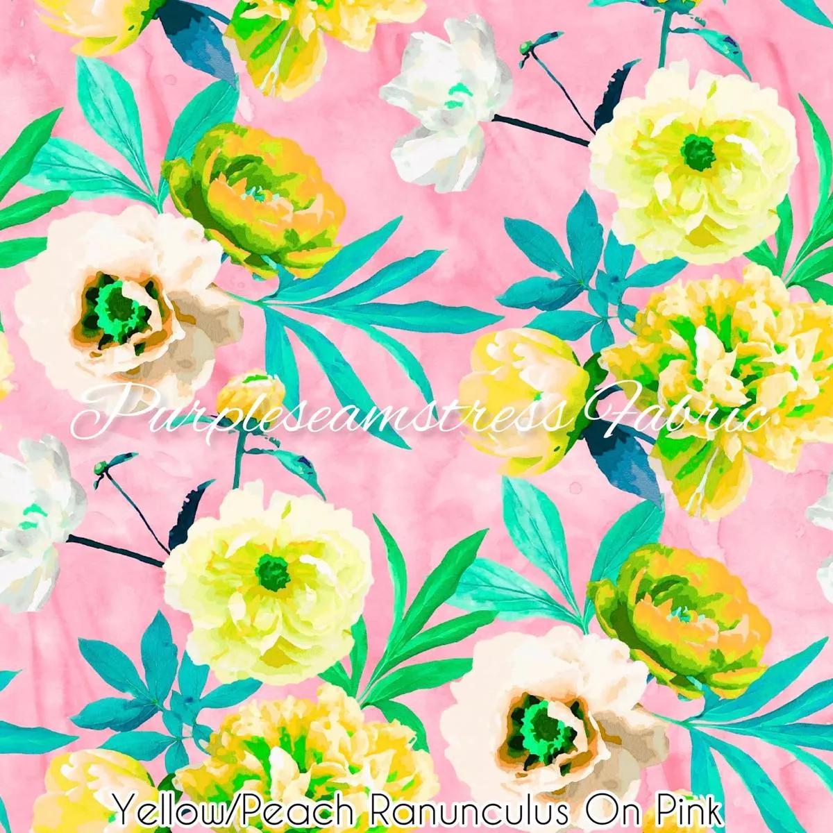 Yellow/Peach Ranunculus On Pink…